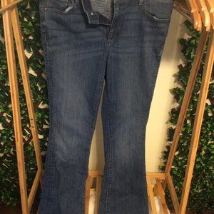 The Loft Sz 31/12 Flare Jeans